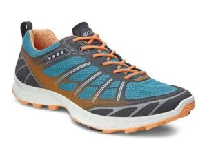 Кроссовки ECCO: какую модель выбрать