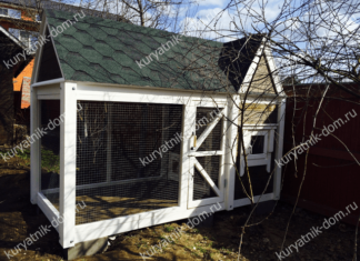 Курятник: каким он должен быть