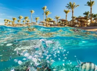 Тур в Объединенные Арабские Эмираты