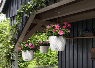 Как выбрать кашпо для цветов: основные параметры и советы