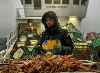 Морская Финансовая Одиссея: Как Алексей Бурковский Поднимал Планку Бюджета в Пятилетнем Плавании