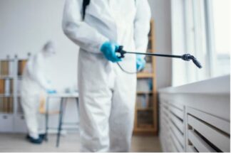 Эффективные методы дезинсекции от клопов: профессиональный подход и домашние средства