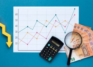 Влияние экономических факторов на курс белорусского рубля