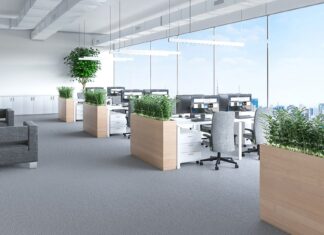 Как простым способом разместить растения на рабочем месте