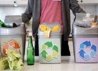 Что такое твердые бытовые отходы (ТБО)?